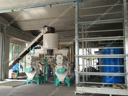 2-3TPH Chestnut Tree Pellet Plant in Italy