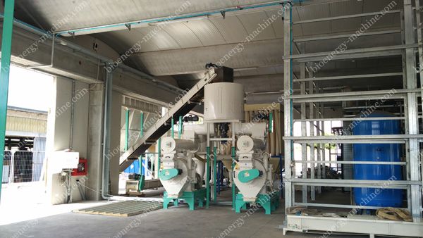 2-3TPH Chestnut Tree Pellet Plant in Italy