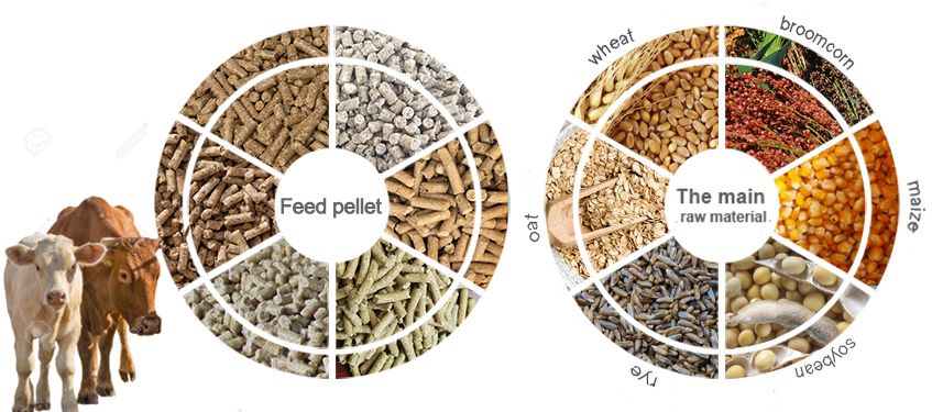  Toutes sortes de matières premières pour la fabrication d'aliments pour bétail 