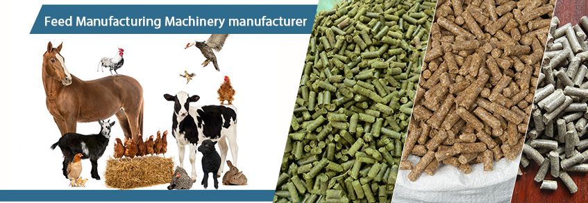 Small Feed Pellet Making Supplier – Factory Price Feed Pellet Mill for  Chicken Cattle Fish Feed Production