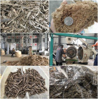Bamboo Pellet Production Test for Malaysia Client