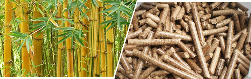 Bamboo Pellets Made By Biomass Pellet Production Line