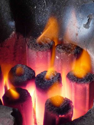 biomass briquettes burning