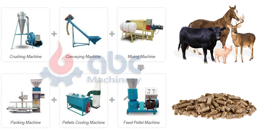 Main Equipment for Cattle Feed Pellet Process 