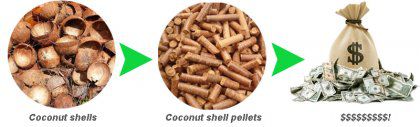 Setting Up A Coconut Shell Pelletizing Factory