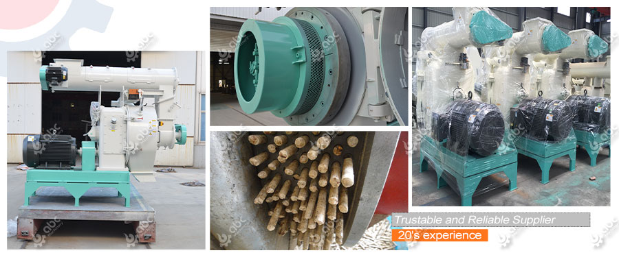Cost-effective High-quality Wood Pellet Mill for Sale