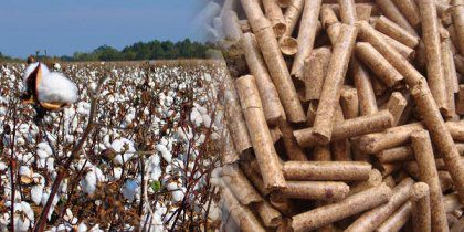 Make Cotton Stalk Pellets to Replace Fossil Fuel
