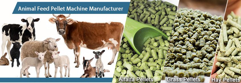 Factory Price Hot Sale Hay Animal Feed Pellets for Cattle and Lamb