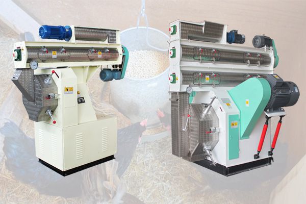 large feed pellet mill