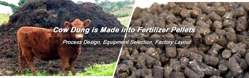 Money Making Tips—Make Fantastic Fertilizer Pellets from Cow Dung