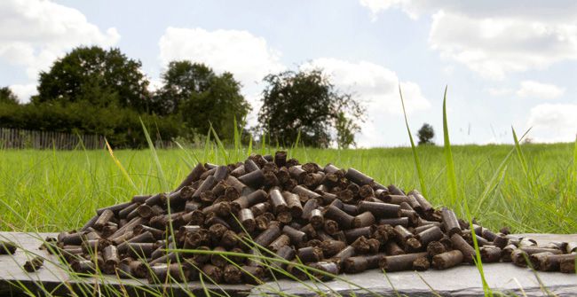 olive pomace pellets