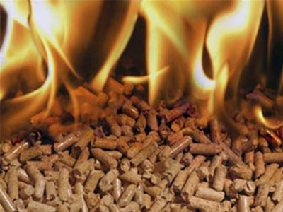 Investing Into Biomass Pellet Production