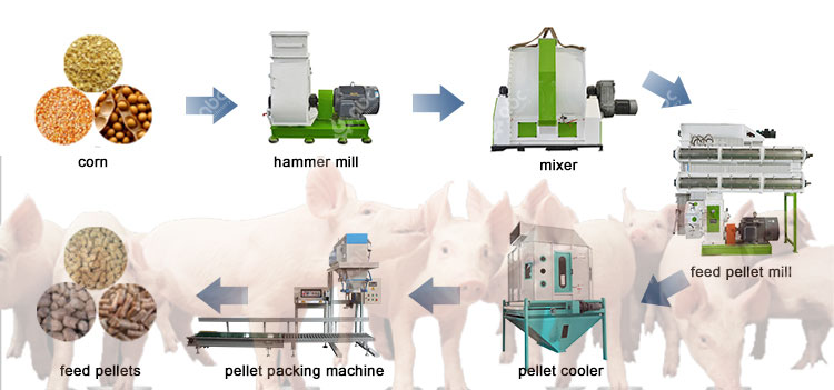 Pig Feed Pellet Processing Flow Chart for the Livestock Feed Industry