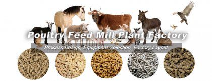 How to Setup Poultry Feed Mill Plant?