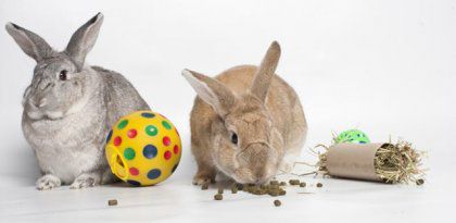Rabbit Feed Pellet Machine