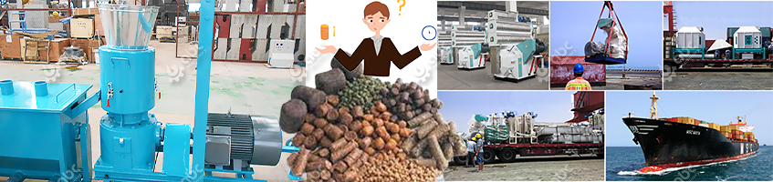How to Choose Animal Feed Pellet Manufacturing Machine?