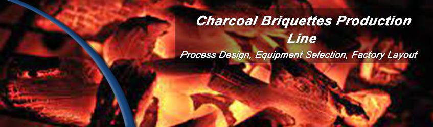 Cost Efficiency Setting Up A Charcoal Briquetting Plant 