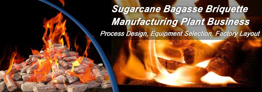 Sugarcane Bagasse Briquette Manufacturing Plant Business