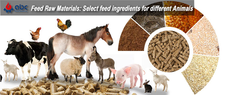 Various Raw Materials for Livestock Feed Pellets