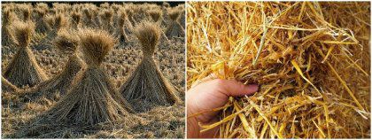 Make Your Own Straw Pellets