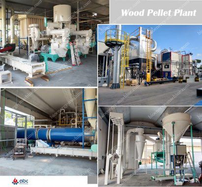 Complete Wood Pellet Plant Design