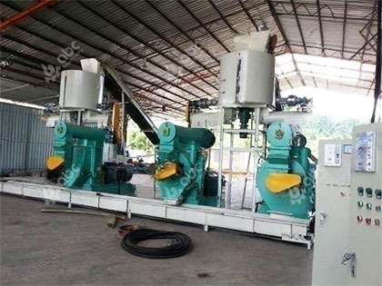 1TPH Wood Pellet Production Line in Thailand