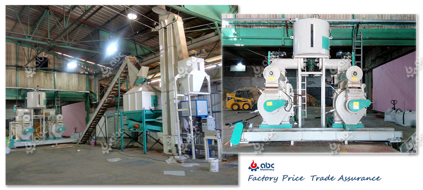 2-3T/H Biomass Pellet Plant for Wood Shaving in Israel