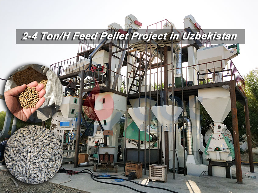 2-4tph Livestock Feed Processing Project in Uzbekistan