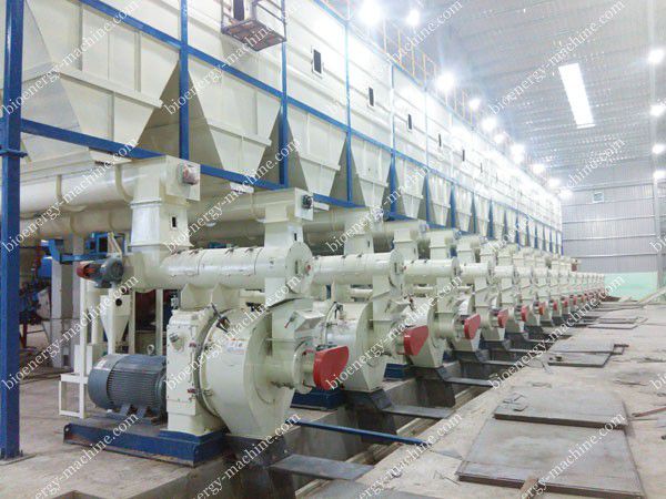 Wood Pellet Mill Manufacturer- Customized Design Wood Pellet Plant.