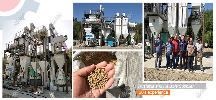 4 ton per hour livestock feed pellet project in Uzbekistan