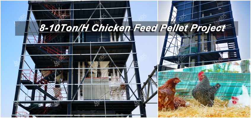 8-10 Ton/H Chicken Feed Pellet Processing Plant
