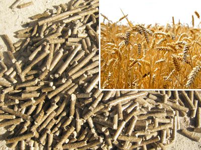 Wheat Straw Pellets