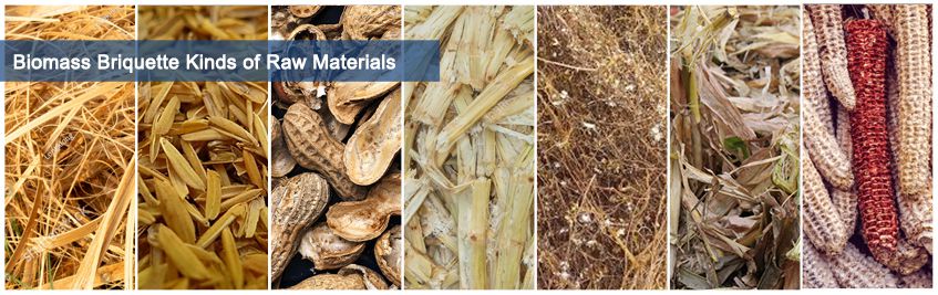 All Kinds of Raw Materials of Biomass Briquette