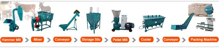 animal feed pelleting process