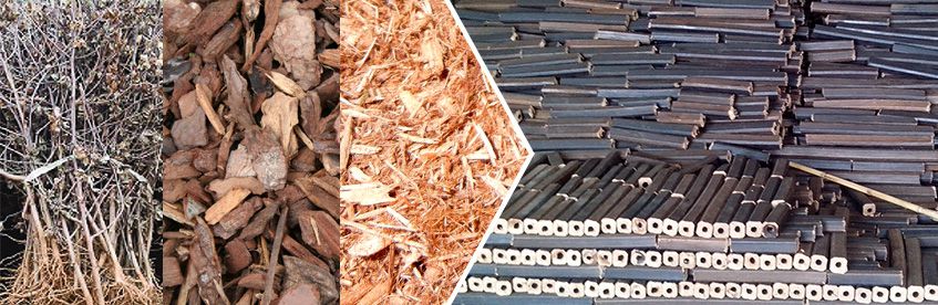 Biomass Briquettes Applications and Advantages