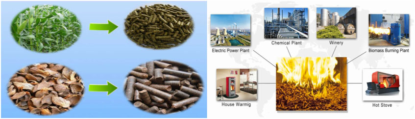 Biomass Pellet Materials and Applications