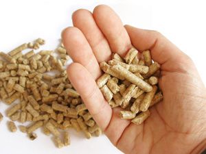 biomass pellets in hand