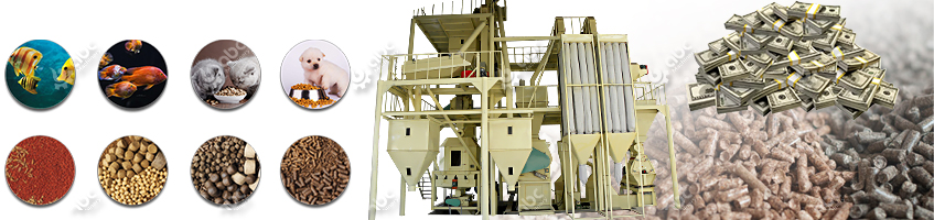 Set up Your Own Animal Feed Pellet Processing Plant