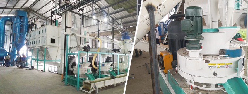 High-Efficiency Shredders & Balers for Cardboard RDF Production