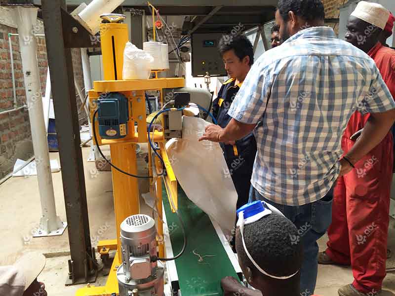 Chicken Feed Pellets Packing Machine