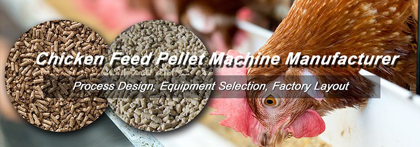 Produced Chicken Feed From Pellets Making Machines