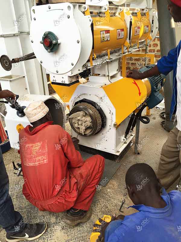 Chikcen Feed Pellet Mill Test