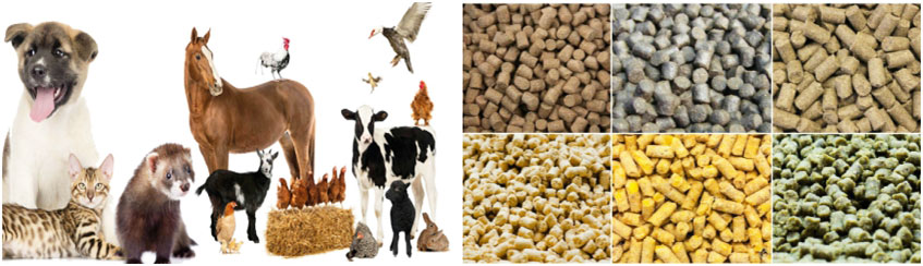 Different Feed Paellets for Cattle and Poultry