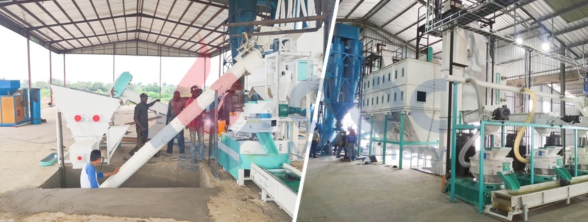 Hot Sale RDF Pellet Processing Machines at Factory Price
