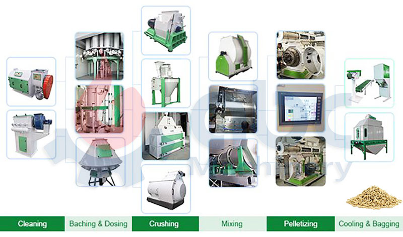 Large Feed Pellet Production Line at Factory Price