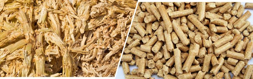 Sugarcane Bagasse Pellets