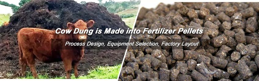 Making Cow Dung into Fertilizer Pellets