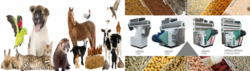 Making Feed Pellet for Differernt Animal