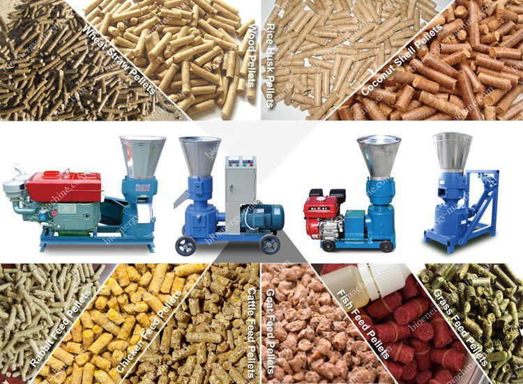 Small Sawdust Pellet Machine for Making Mini Homemade Wood Pellets