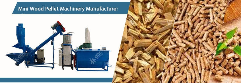 Factory Price Mini Wood Pellet Manufacturing Plant for Sale